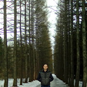 ���������� ����������, ������� Petr, 44