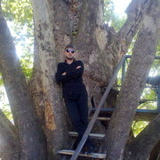 ���������� ������, ���� ������� AREN, 35 ���, ������������ ��� ������, ����� � ���������, c�������� ���������