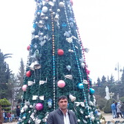  ,   Mamed, 41 ,   ,   , c 