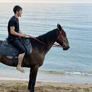 ���������� ������, ���� ������� ����, 35 ���, ������������ ��� ������, ����� � ���������