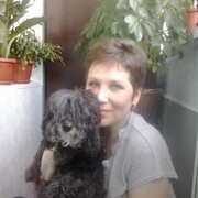 ���������� ��������, ���� ������� �����, 55 ���, ������������ ��� c�������� ���������