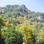 ���������� ���������, ������� ���������, 51