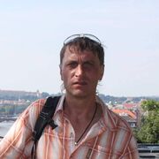  ,   ˸, 49 ,   ,   