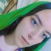 ���������� ������, ���� ������� Alshimaa, 29 ���, ������������ ��� ������, ����� � ���������