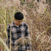 ���������� �����-���������, ���� ������� ���� �����, 38 ���, ������������ ��� ����� � ���������, c�������� ���������