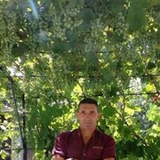 ���������� ��������-������������, ������� �������, 55