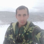 ���������� �������, ���� ������� ���������, 31 ���, ������������ ��� ����� � ���������, c�������� ���������