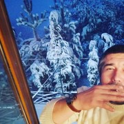 ���������� �������, ���� ������� Gofur, 40 ���, ������������ ��� ������, ����� � ���������, c�������� ���������