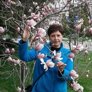  ,   , 49 ,   ,   , c 