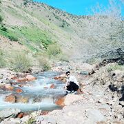 ���������� �����, ���� ������� �����, 29 ���, ������������ ��� ������, ����� � ���������, c�������� ���������, ���������