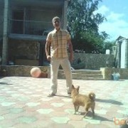 ���������� �������, ���� ������� �����, 36 ���, ������������ ��� ������