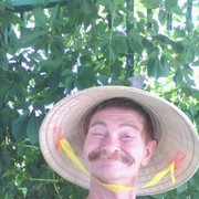 ���������� �������, ���� ������� ������, 65 ���, ������������ 