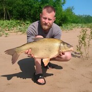 ���������� ����������, ���� ������� ����, 33 ����, ������������ ��� ������