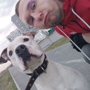 ���������� ������, ���� ������� ����, 30 ���, ������������ ��� c�������� ���������