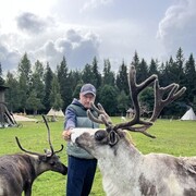 ���������� �����-���������, ���� ������� ���������, 51 ���, ������������ ��� ����� � ���������, c�������� ���������