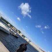 ���������� �����-���������, ���� ������� Birama, 27 ���, ������������ ��� ������, ����� � ���������, c�������� ���������