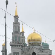 ���������� �������, ���� ������� YUSUF, 40 ���, ������������ ��� ������, ����� � ���������