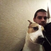 ���������� ���������, ������� �������, 38