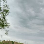 ���������� ������, ���� ������� ���������, 44 ����, ������������ ��� ������, ����� � ���������, c�������� ���������, ���������