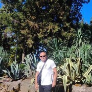 ,  Ivo, 50