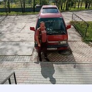  ,   , 54 ,   c 