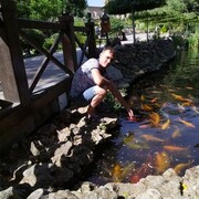 ���������� ������-��-����, ���� ������� ������, 30 ���, ������������ ��� ������, ����� � ���������, c�������� ���������, ���������