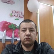 ���������� ���������, ���� ������� Shurik, 41 ���, ������������ ��� ������, ����� � ���������, c�������� ���������, ���������