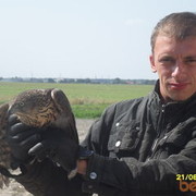 ���������� ����, ���� ������� ����, 41 ���, ������������ ��� ����� � ���������, c�������� ���������