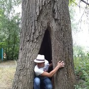 ���������� �������, ���� ������� ����, 39 ���, ������������ ��� ������, ����� � ���������, c�������� ���������