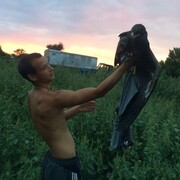 ���������� ���������, ���� ������� ���������, 27 ���, ������������ ��� ������, ����� � ���������