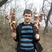  ,   , 40 ,   