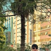 ���������� ������, ���� ������� �����������, 29 ���, ������������ ��� ������, ����� � ���������