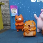 ���������� ����������, ���� ������� �������, 48 ���, ������������ ��� ������, ����� � ���������, c�������� ���������, ���������