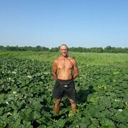 ���������� ������-��-����, ���� ������� ����, 45 ���, ������������ ��� ������, ����� � ���������