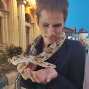 ���������� ������������, ���� ����� ����, 21 ���, ������������ ��� ������, ����� � ���������, c�������� ���������