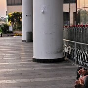  -,   , 42 ,   ,   , c 
