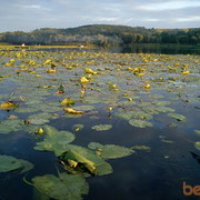 ���������� ����, ���� ������� SERGEY, 48 ���, ������������ ��� ������