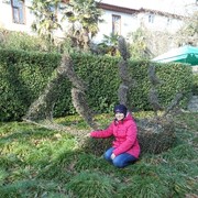  ,   , 50 ,   ,   , c 