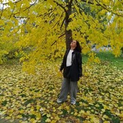 ���������� ������, ���� ������� �������, 48 ���, ������������ ��� ������, ����� � ���������, c�������� ���������, ���������