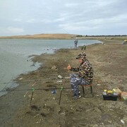 ���������� ������, ���� ������� ����, 48 ���, ������������ ��� ������, ����� � ���������, c�������� ���������