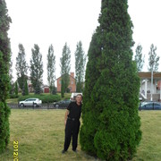  ,   , 54 ,  