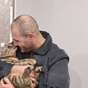  ,   , 34 ,   ,   