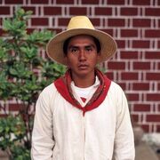 ���������� ���������, ���� ������� ������, 36 ���, ������������ ��� ������, ����� � ���������