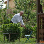  ,   Mitrich, 69 ,  