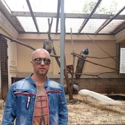  ,   , 46 ,   