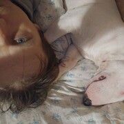  -,   , 43 ,   ,   