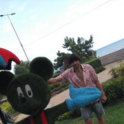 ���������� ����, ���� ������� ���������, 43 ����, ������������ ��� ������, ����� � ���������, c�������� ���������