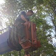  --,   , 46 ,   ,   , c , 