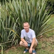 ���������� ������������, ���� ������� ������, 43 ����, ������������ ��� ������, ����� � ���������, c�������� ���������, ���������