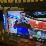 ,   Hushbaht, 38 ,   ,   , c , 